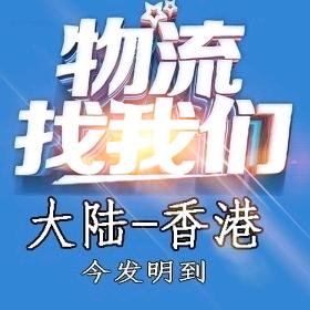 港淘集运Wendy