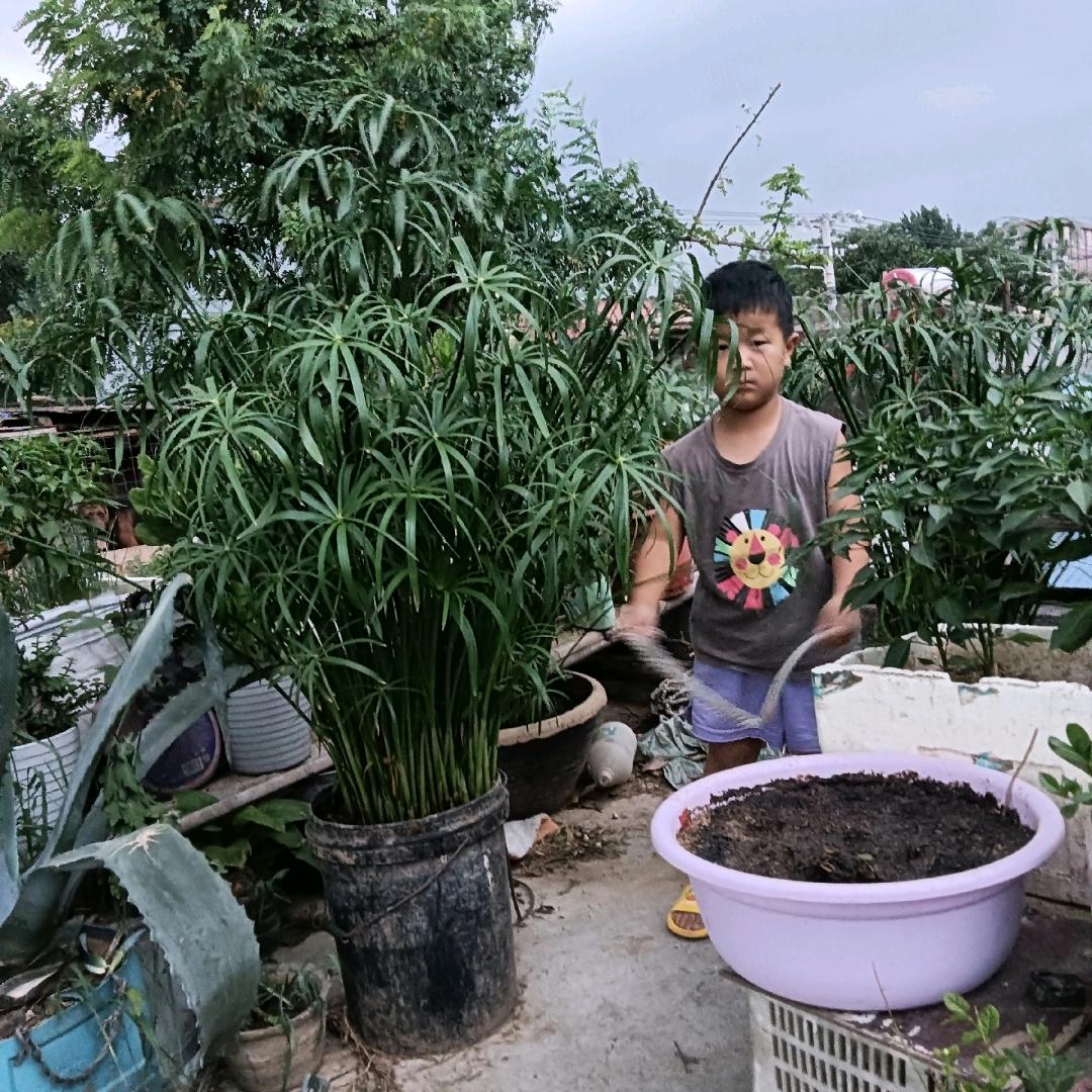 还谋想好呢