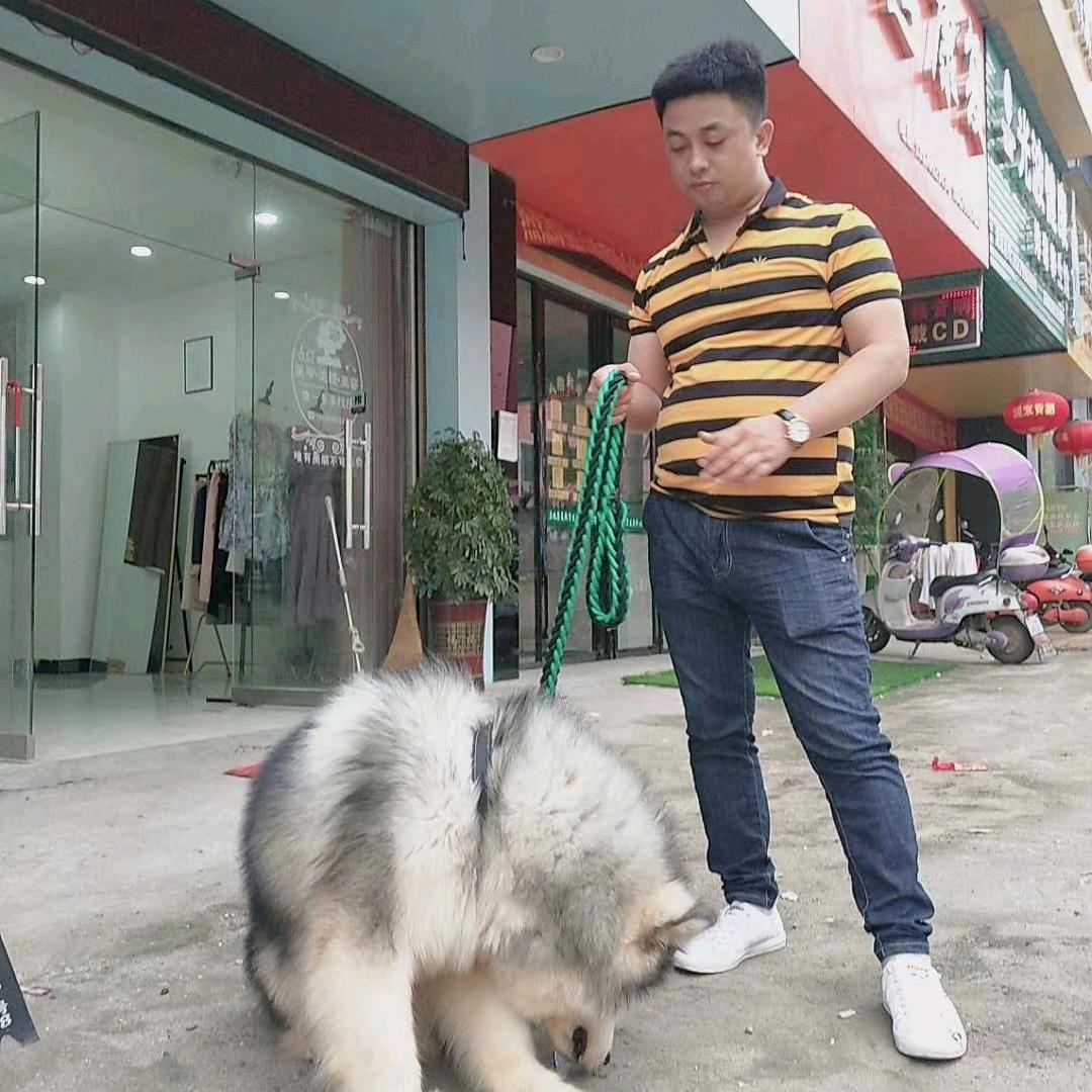 万载压车🚘车🚘