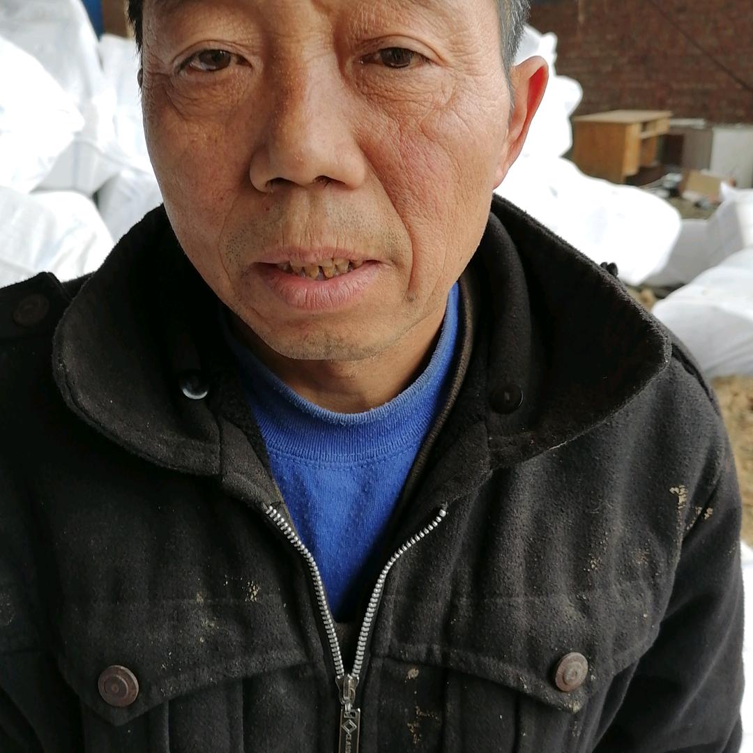 闰登从