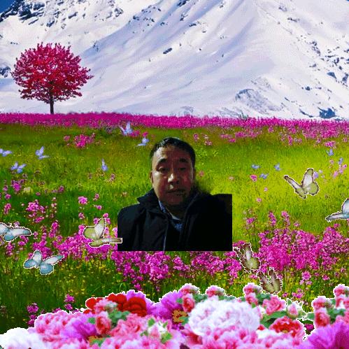 平平安安