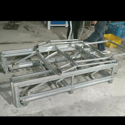 蒋姐，我更爱我的三个崽！！！