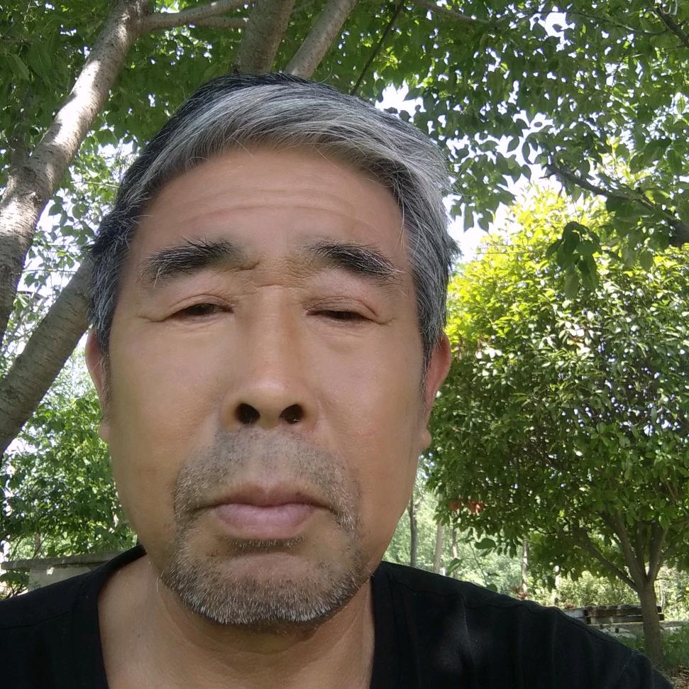 杨总