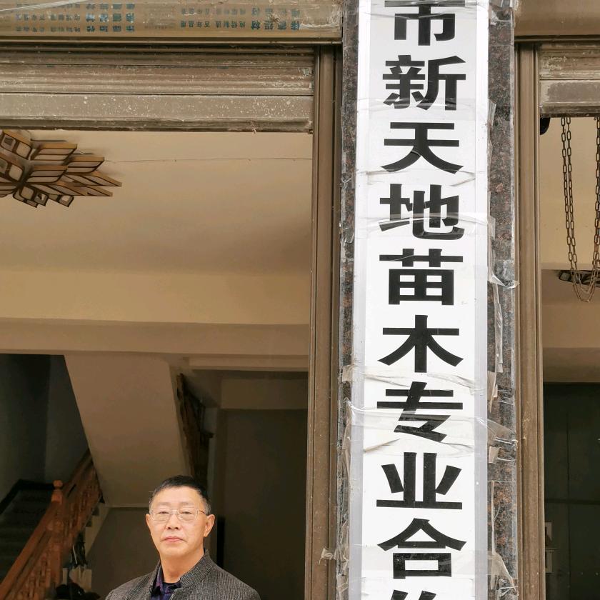 利川市新天地苗木