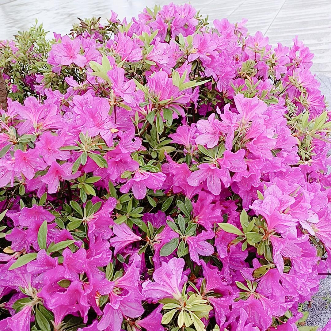 一切随缘💋💋💋