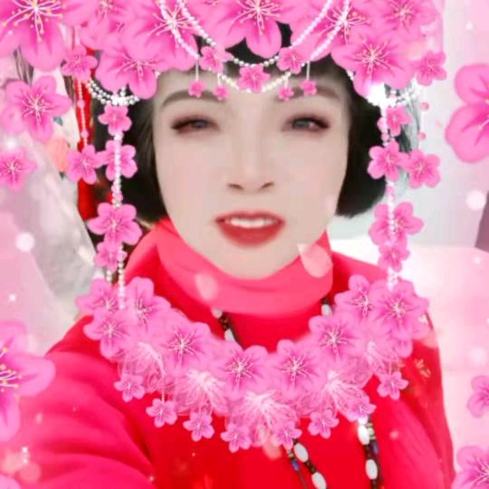 开心果果