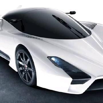 怒放（¥$）的生命