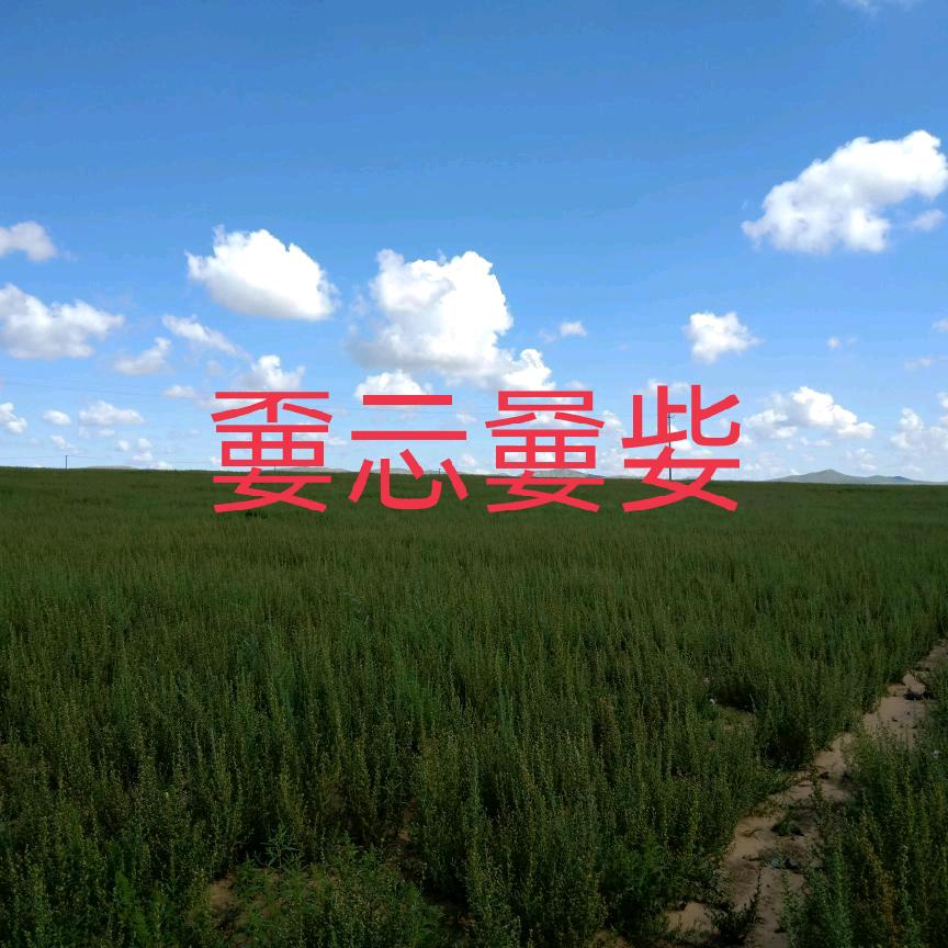 嫑忈嘦姕