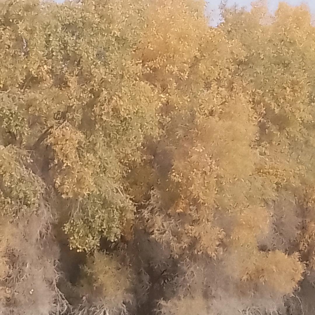 忘记过往，展忘未来