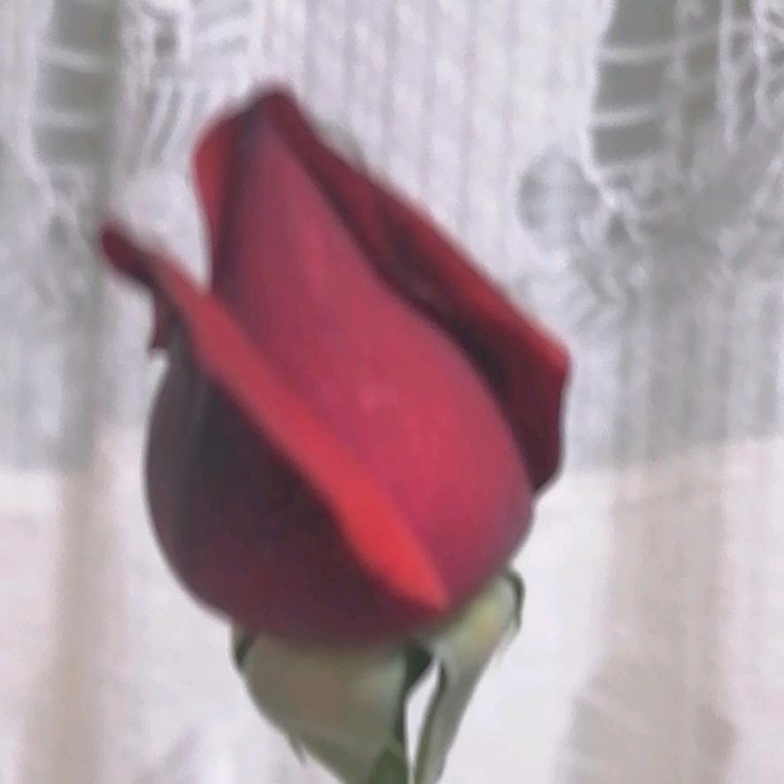 小汪干货店，主要经营主特产……