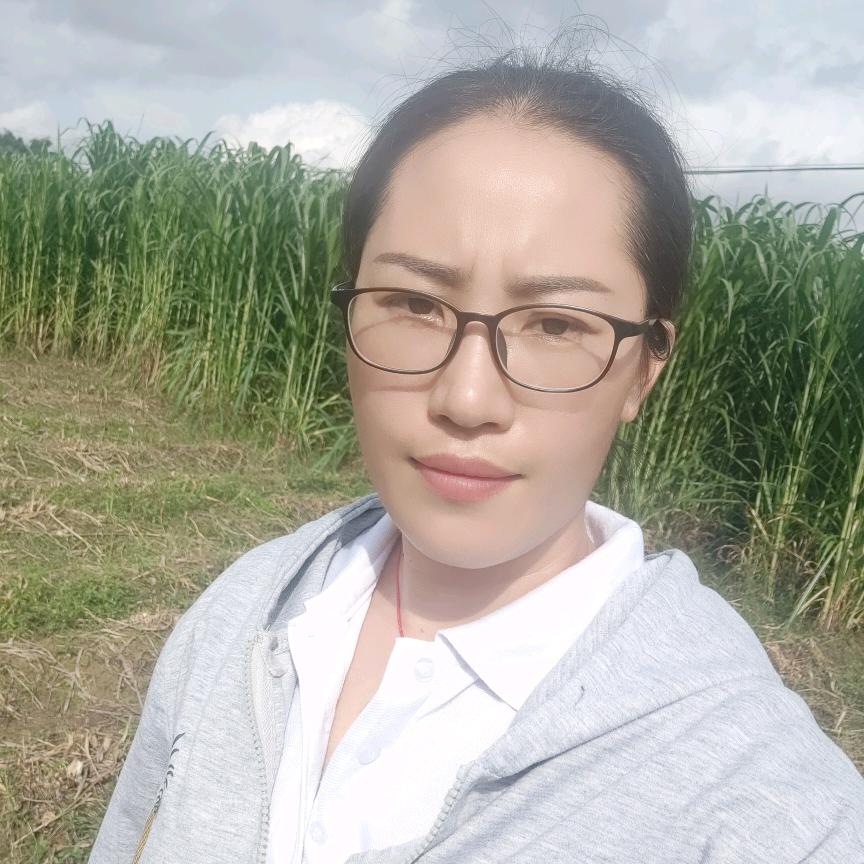 盛康牧草(小云)