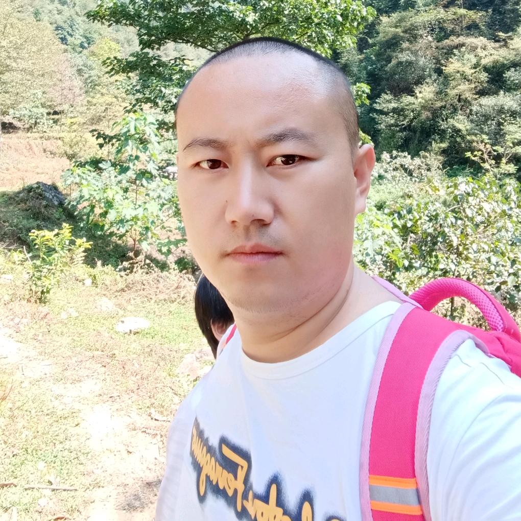 小李无烟气化炉柴火灶