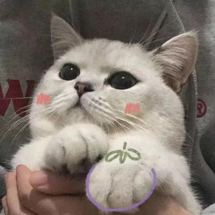 超幸运超招财的小刘