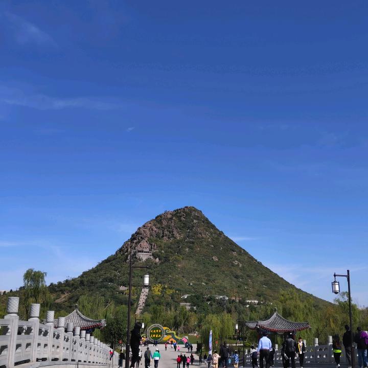 阳光113