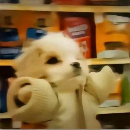 哇哈哈哈哈先生