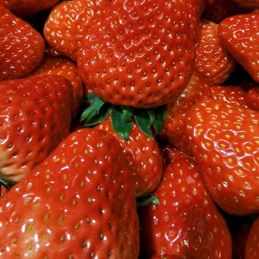 成都卖水果的杨姐