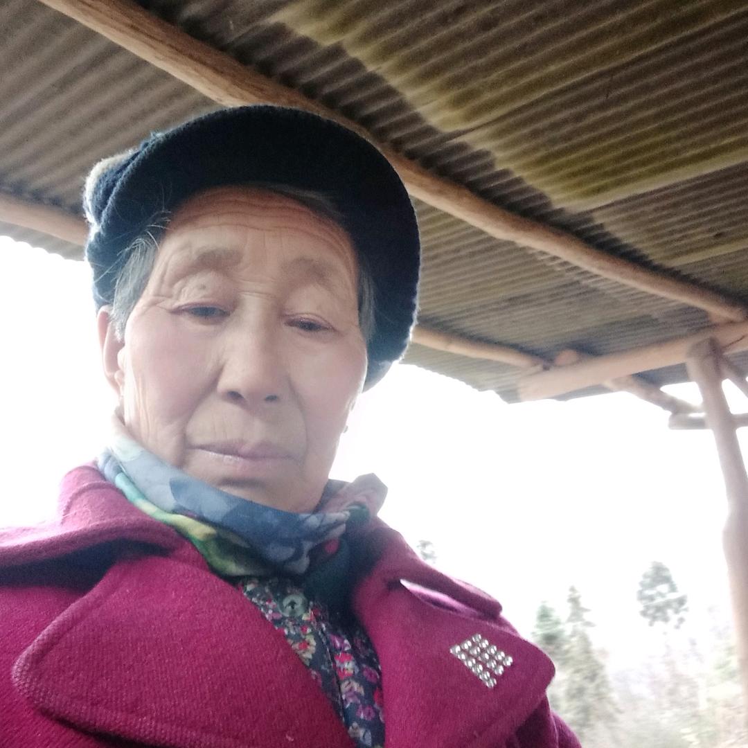 钱银菊