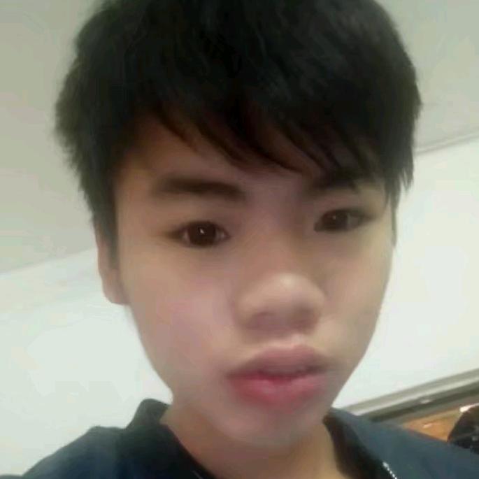 王子木