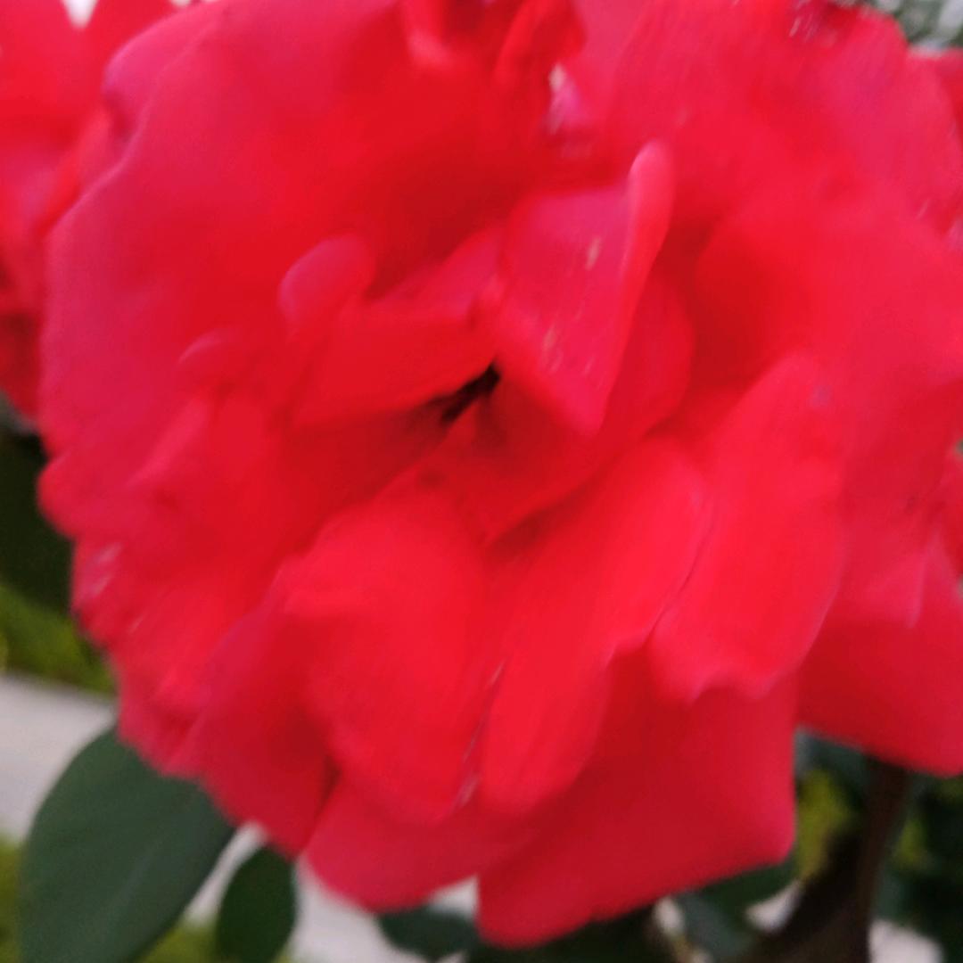 一切安好（回赞是礼貌）