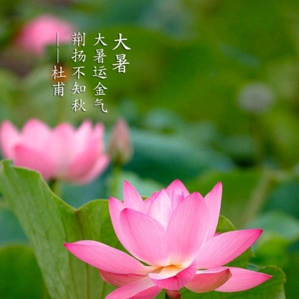 ★风生水起☞