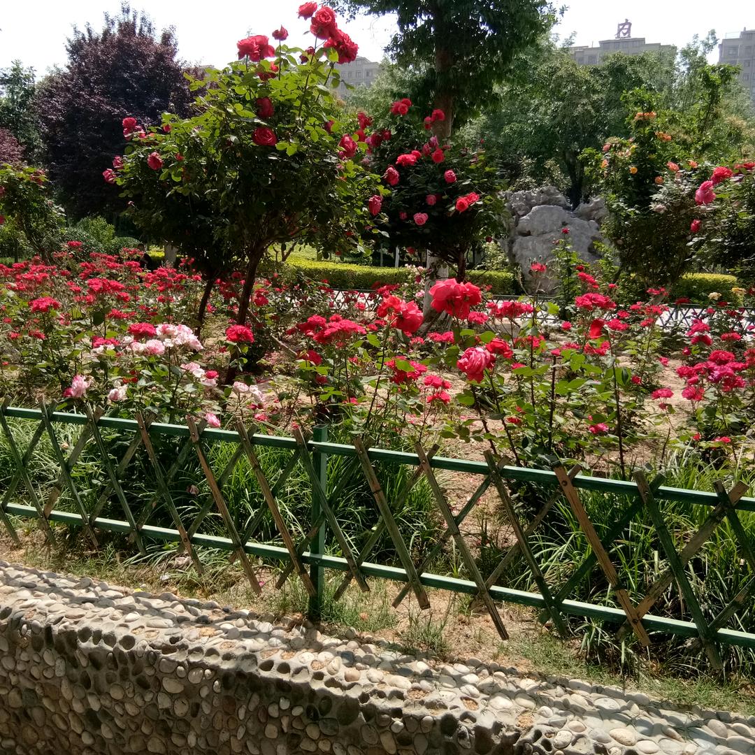 夏邑县济阳镇诚信超市