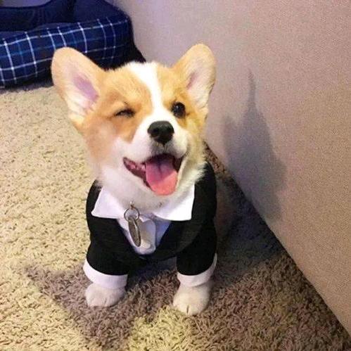 屡屡上钓的翘嘴