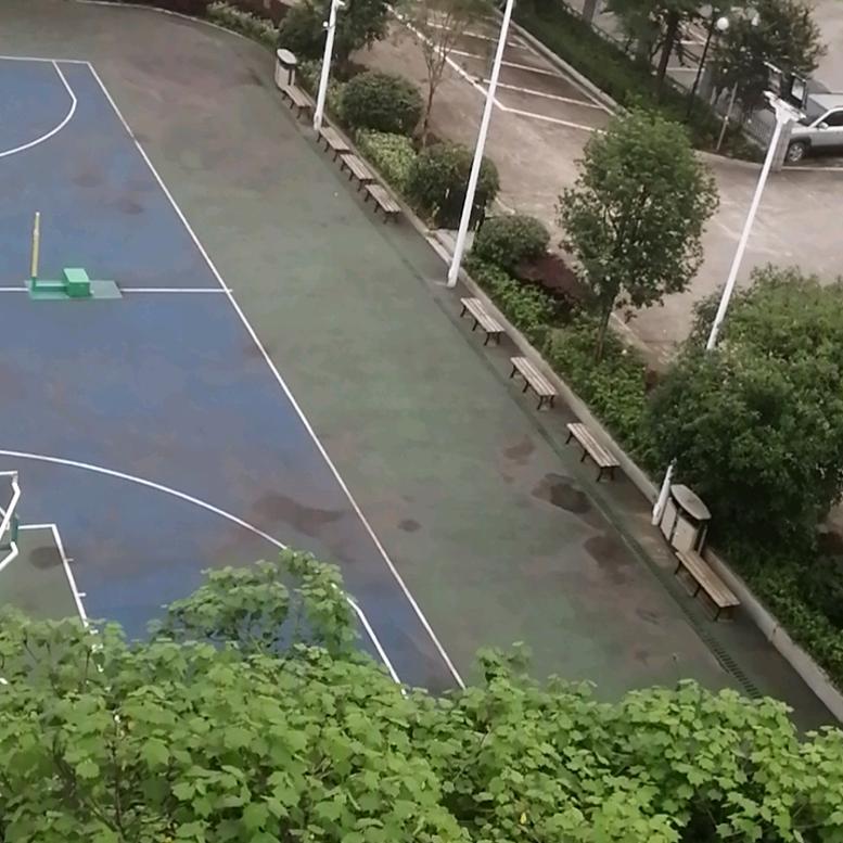 C罗的小迷弟zj