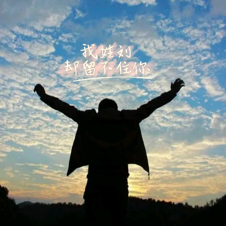 刘景维