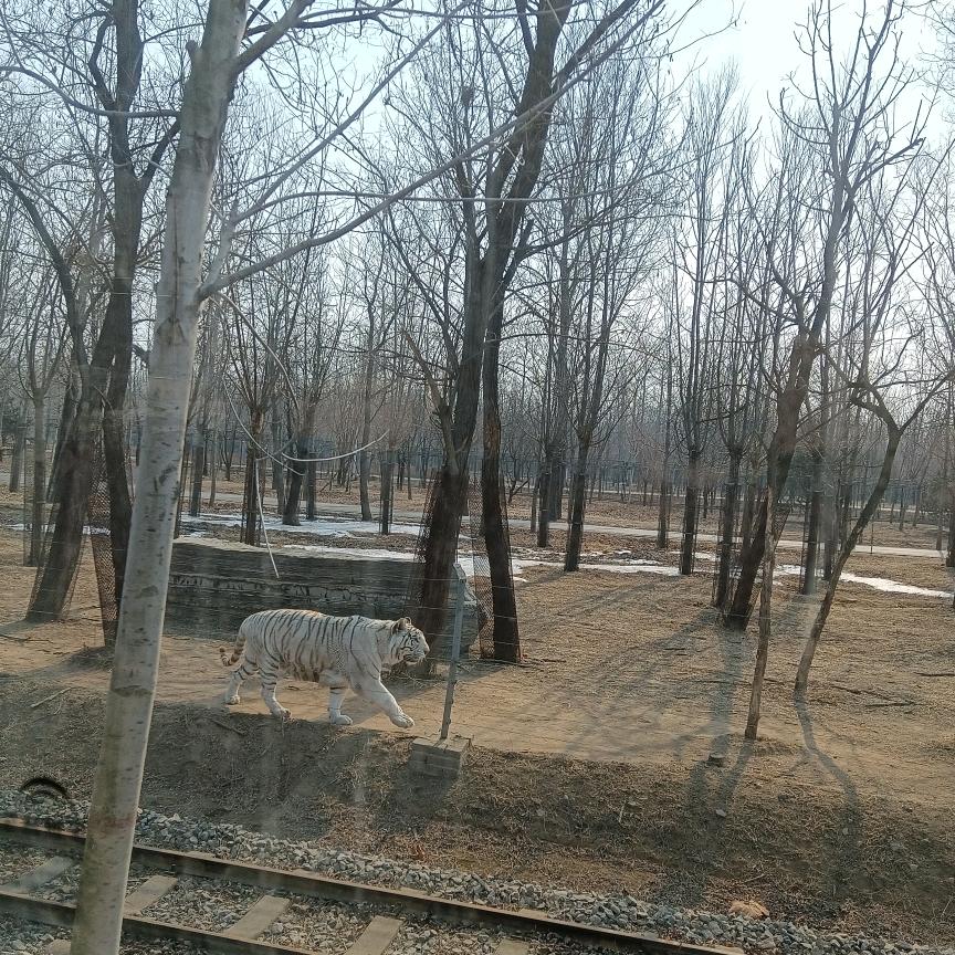 无缘