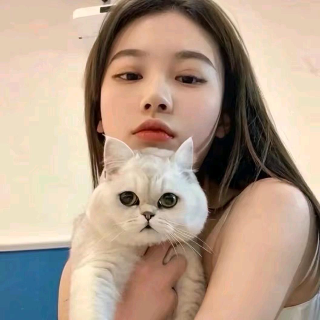 莎莎