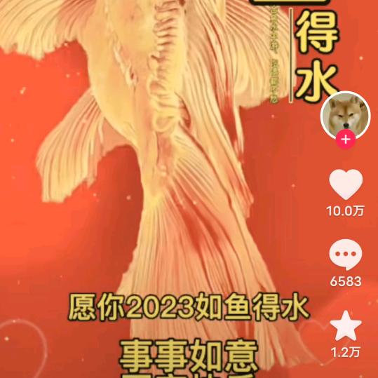 鑫力起重机械租赁有限公司