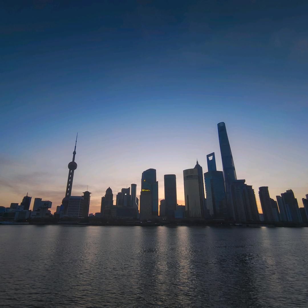 树懒-c
