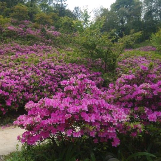 ★一个人也能过很好