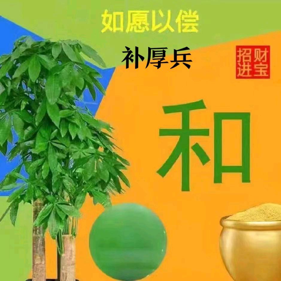 厚德载物1419（鄂尔多斯煤炭直销）
