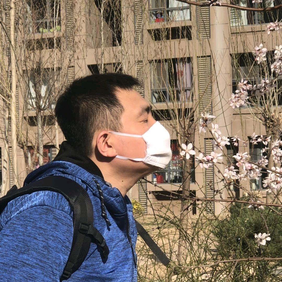 梦幻大灰狼