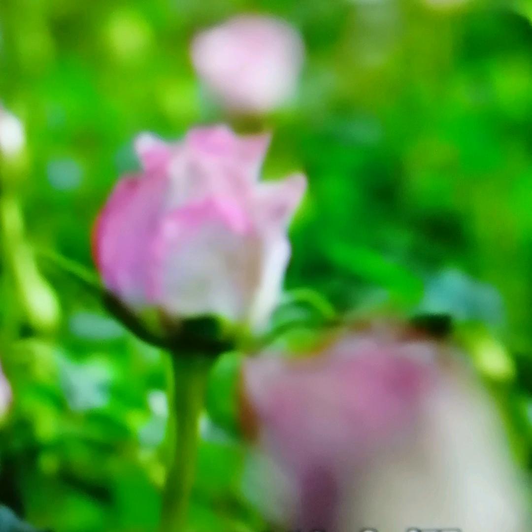简单幸福