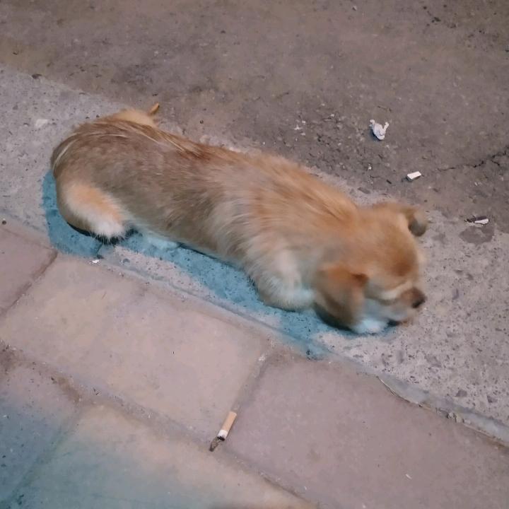 火火火火火火火火火火火火火火火火火火火火