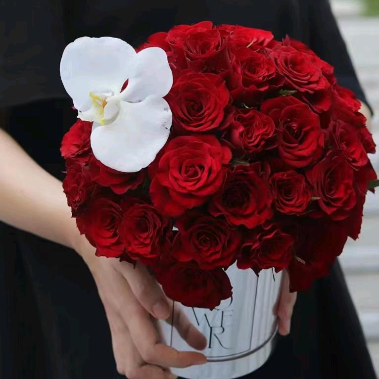 ✧*。٩冬*)و✧*