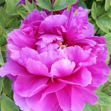 我的网名十二个字不信你数