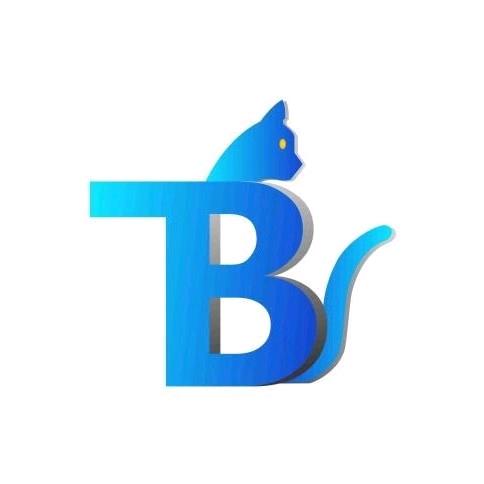 软件开发河北图币科技有限公司