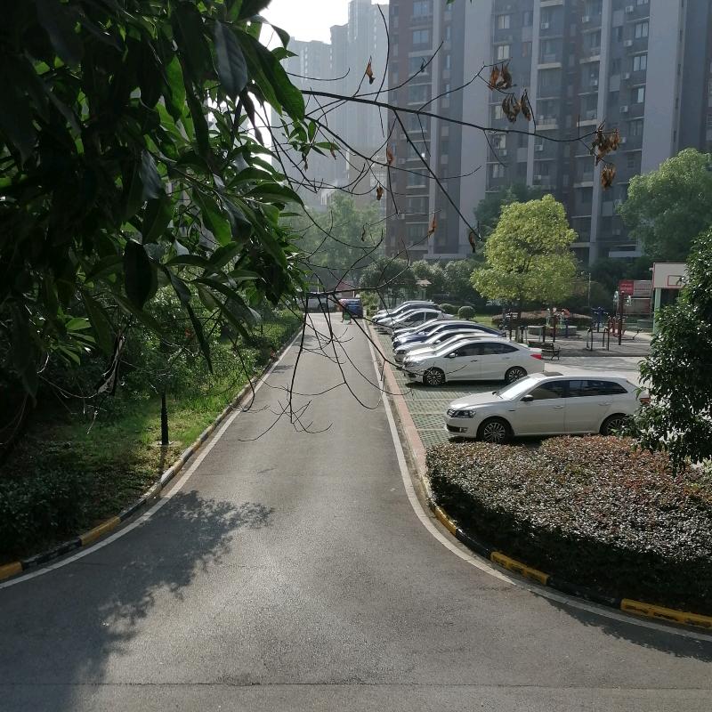 cp爱音乐