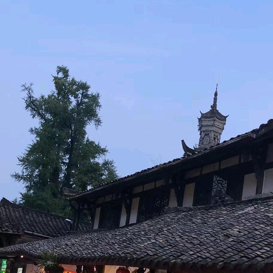 阳光花园飞飞