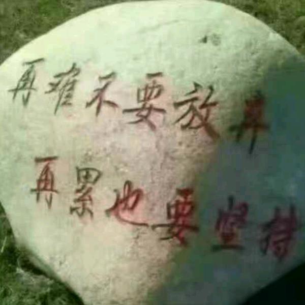奥运会💪💪💪👊👊