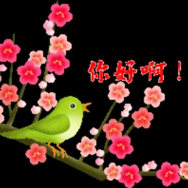 喜鹊蹬梅