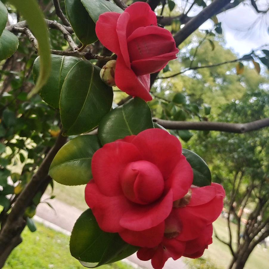 💕 ❧⁵²⁰吾黄赵见💕 ❧⁵²⁰