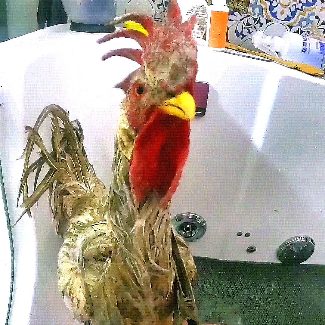 熊起不惑居