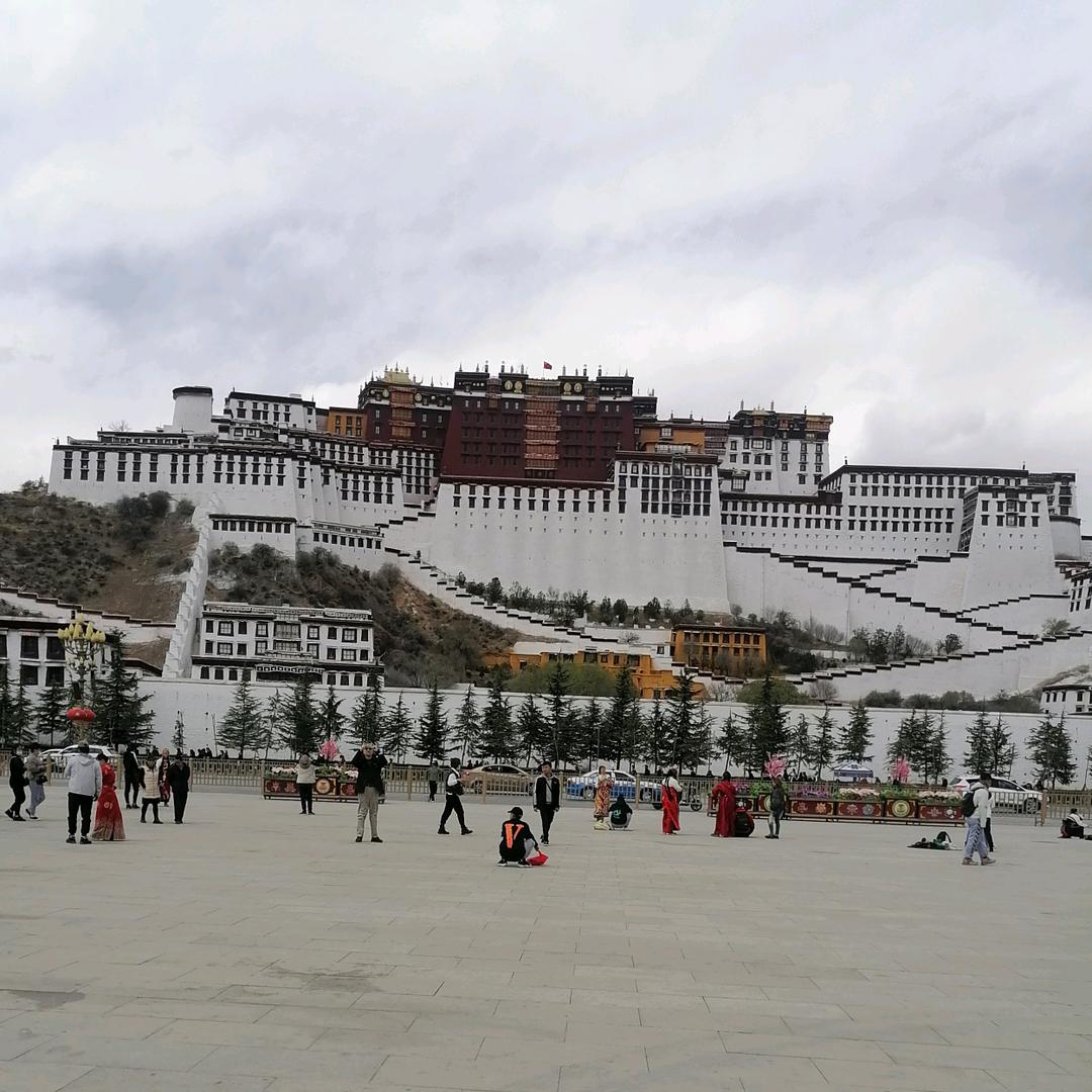 寸zhen