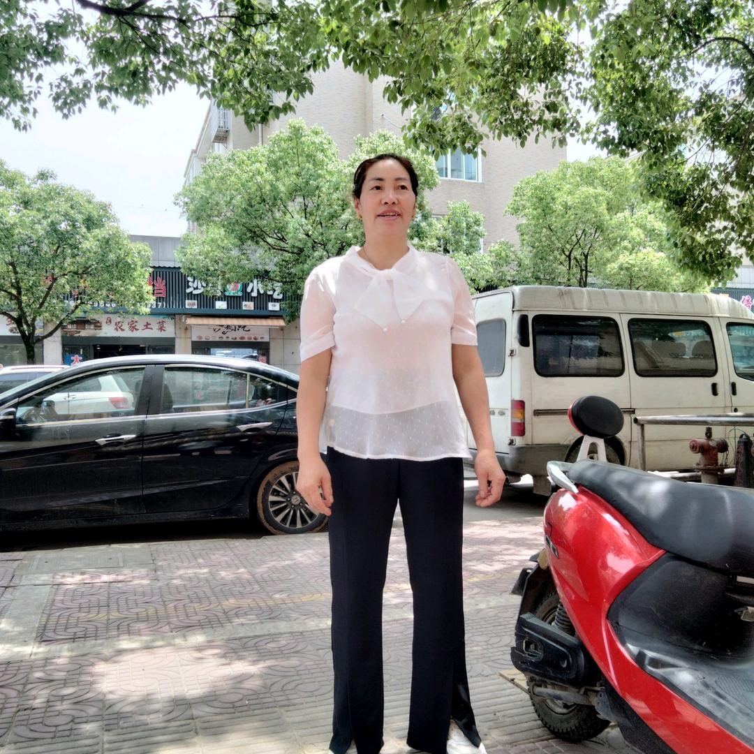 冬菊。早上七点