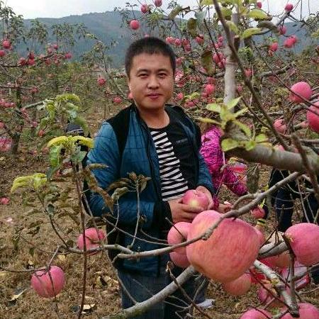 随玉而安