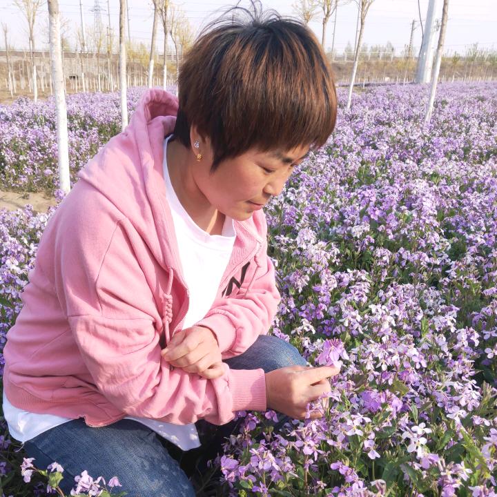 整厂收购，机床购销